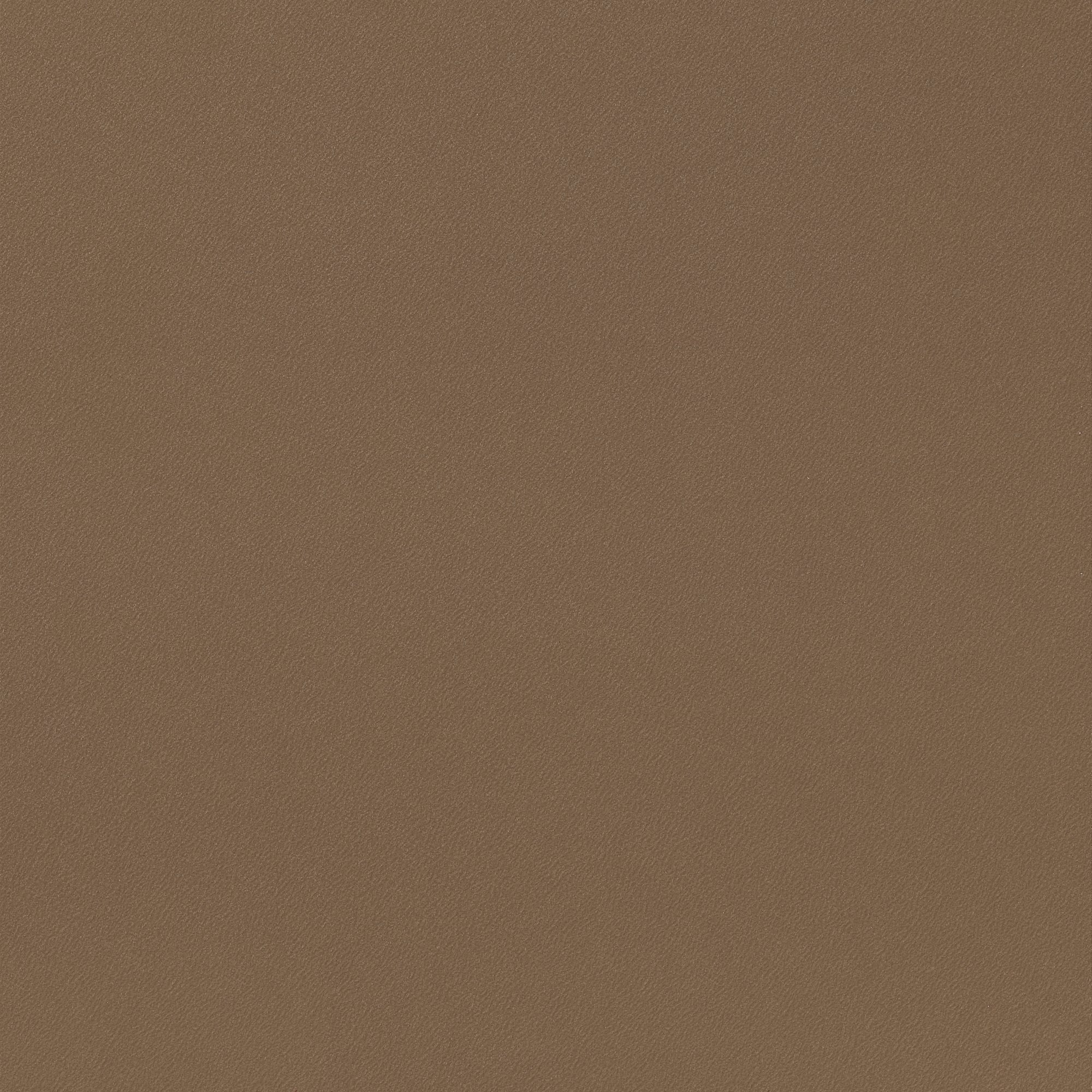 产品系列 净色产品